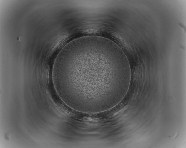 X0000098160739200804241803