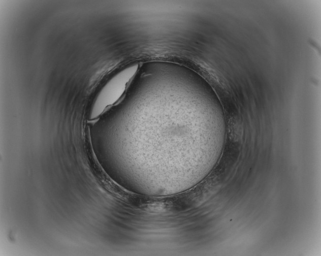 X0000098160740200804241803