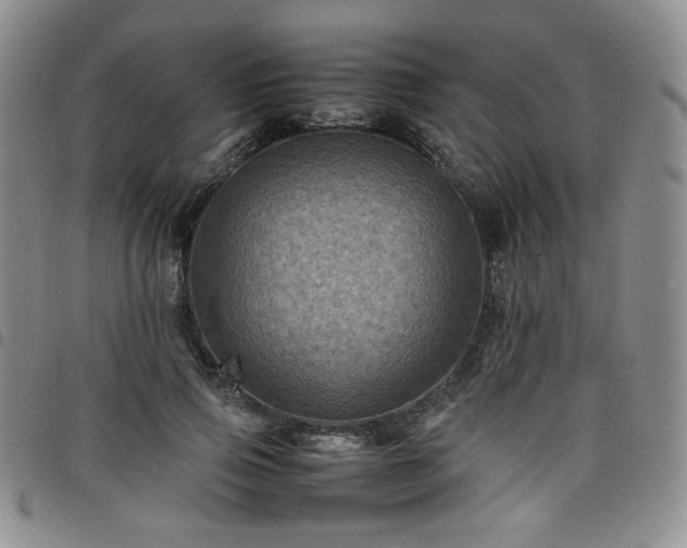 X0000098160741200804241803
