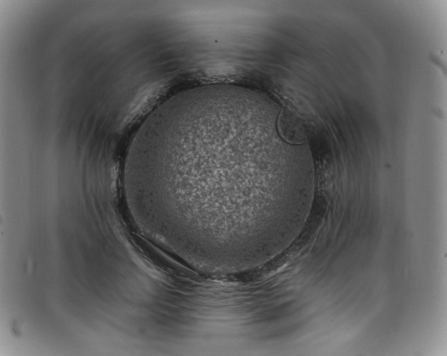 X0000098160742200804241803