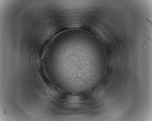 X0000098160743200804241803
