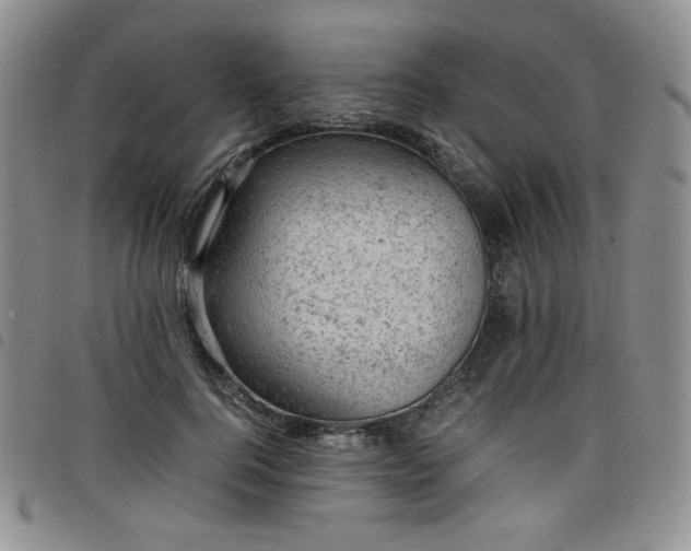 X0000098160744200804241803