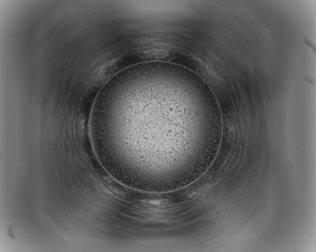 X0000098160745200804241803