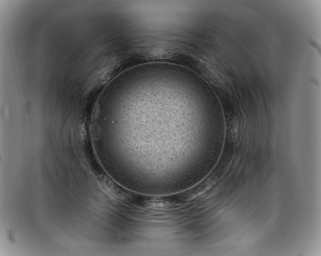 X0000098160746200804241803