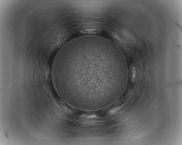 X0000098160747200804241803