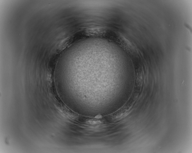 X0000098160749200804241803