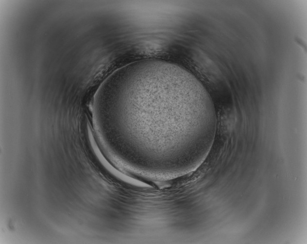 X0000098160750200804241803