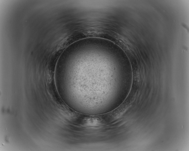 X0000098160751200804241803