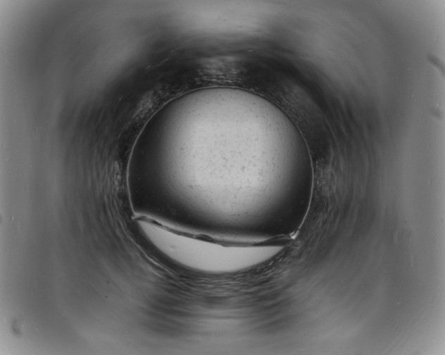 X0000098160752200804241803