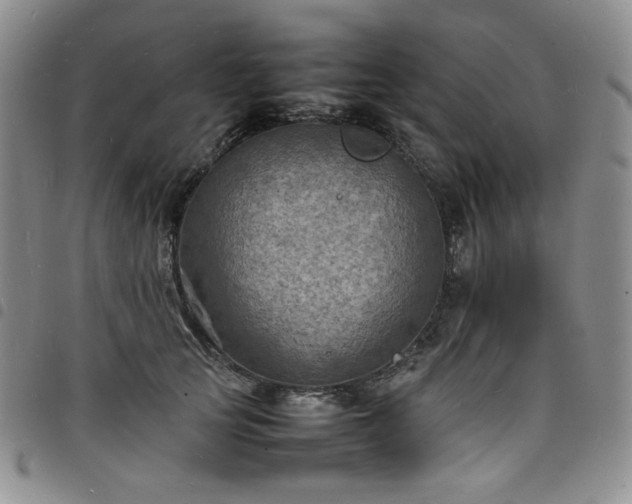 X0000098160753200804241803