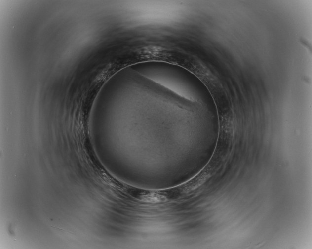 X0000098160754200804241803