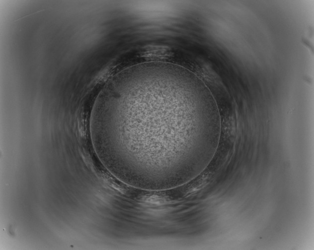 X0000098160755200804241803