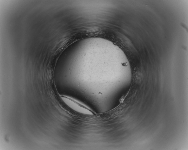 X0000098160756200804241803