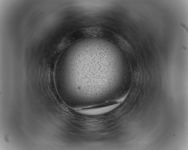 X0000098160757200804241803
