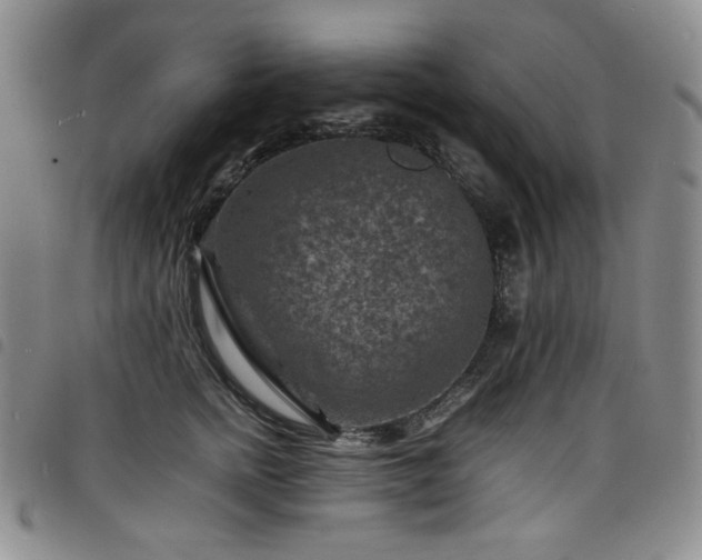 X0000098160758200804241803