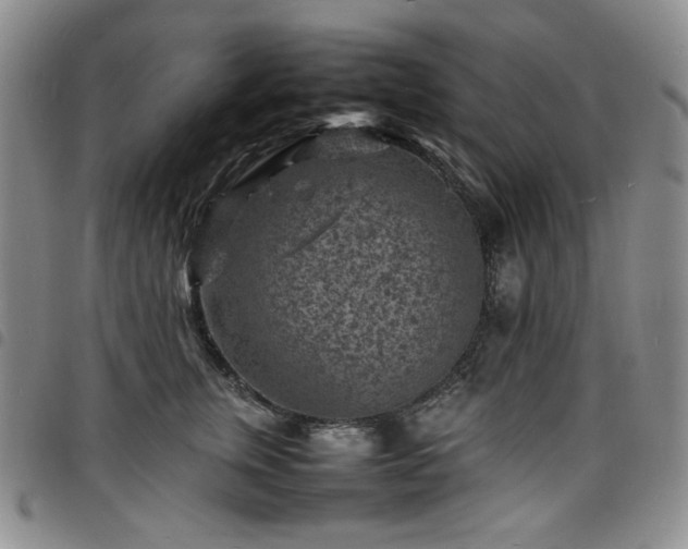 X0000098160759200804241803