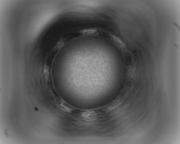 X0000098160761200804241803