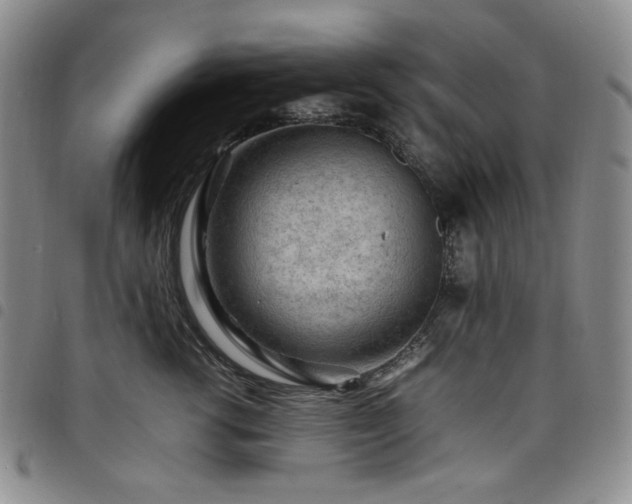 X0000098160762200804241803