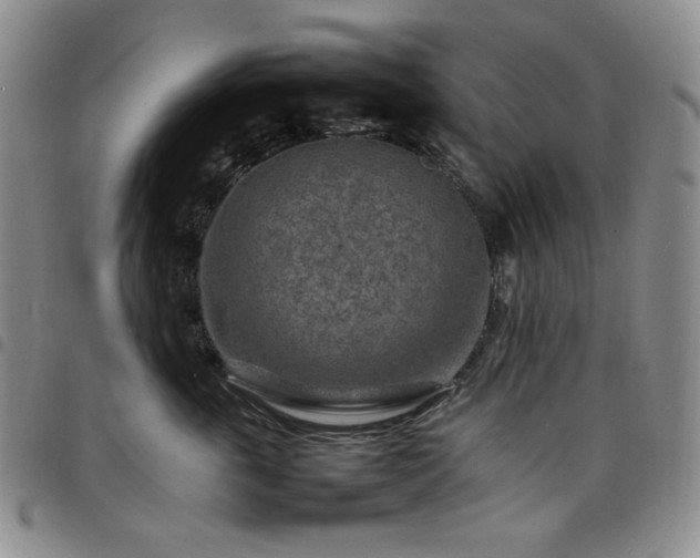 X0000098160763200804241803