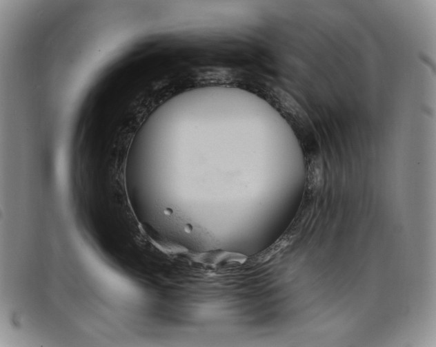 X0000098160764200804241803