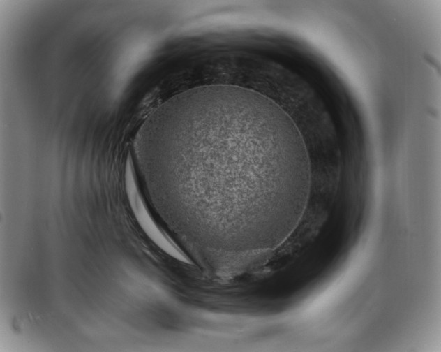 X0000098160766200804241803