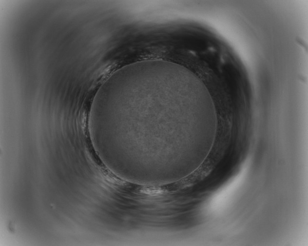 X0000098160767200804241803