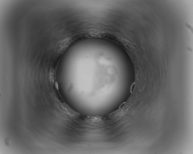 X0000098160768200804241804