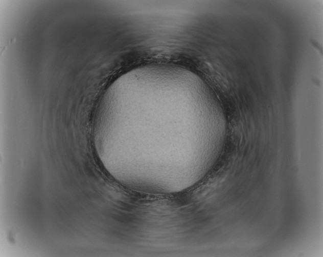 X0000098160769200804241803