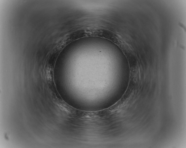 X0000098160770200804241803