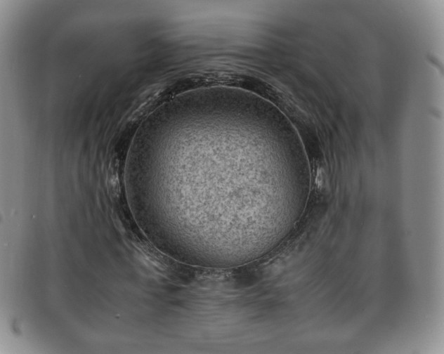 X0000098160771200804241803
