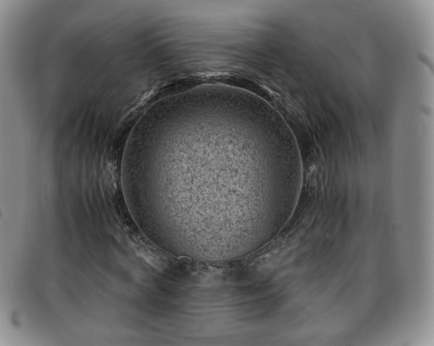 X0000098160772200804241803