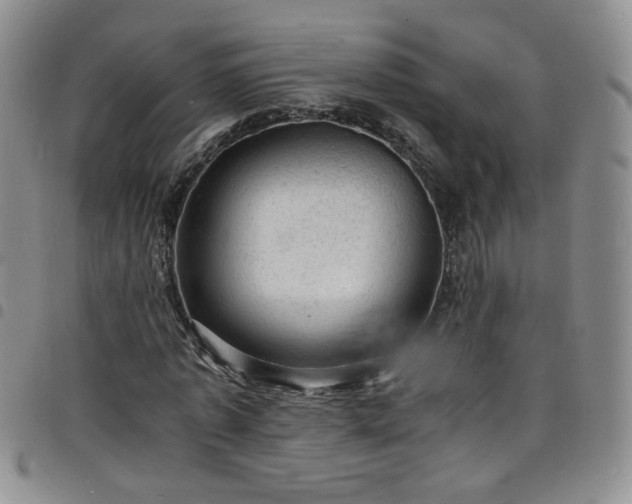 X0000098160773200804241803