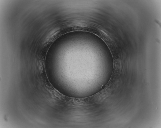 X0000098160774200804241803