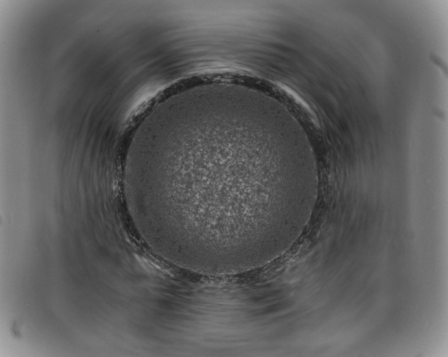 X0000098160775200804241803
