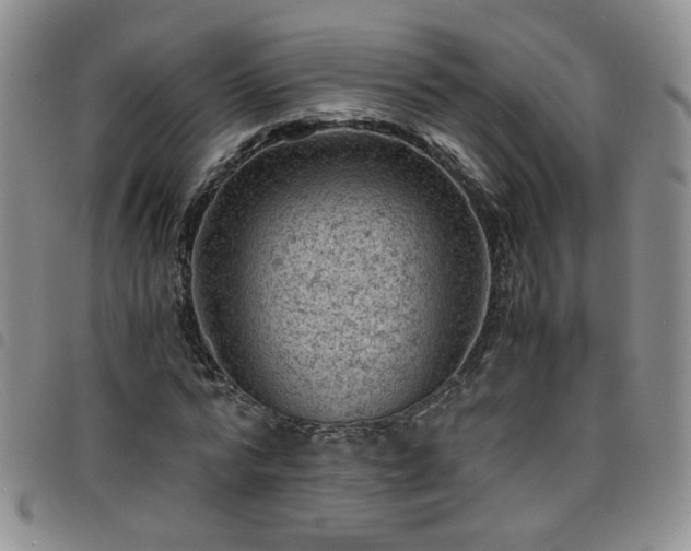 X0000098160776200804241803
