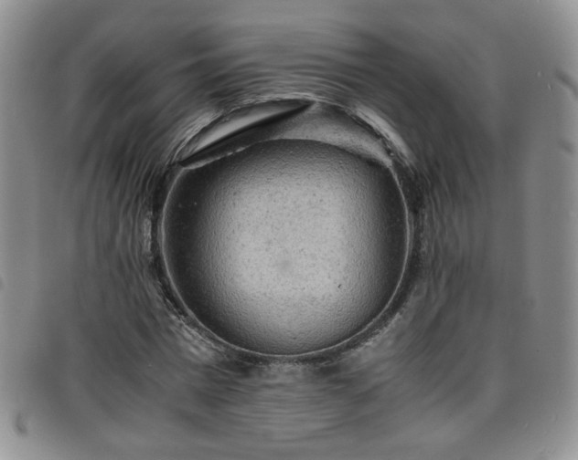 X0000098160777200804241803