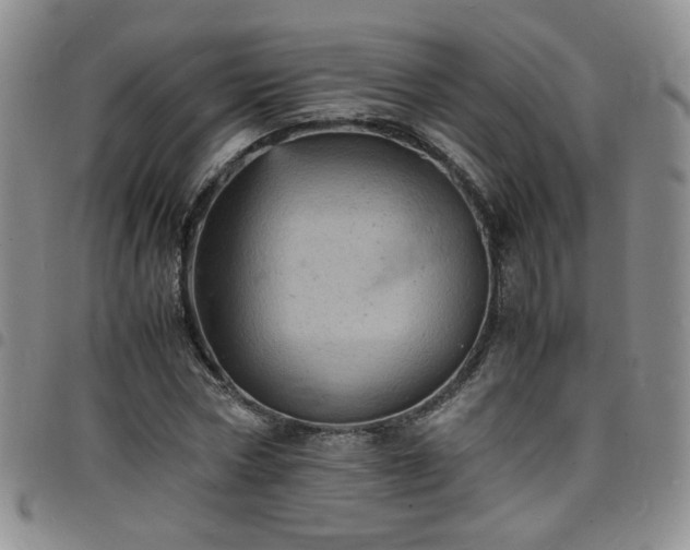 X0000098160778200804241803