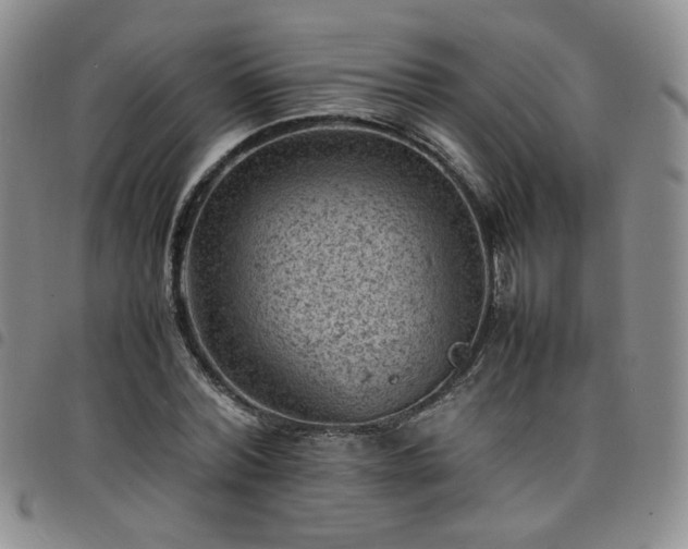X0000098160780200804241803