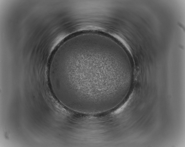 X0000098160783200804241803