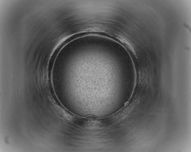 X0000098160784200804241803