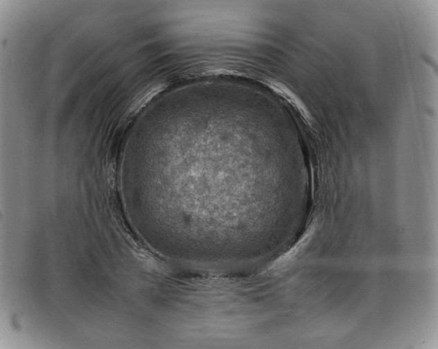 X0000098160785200804241803