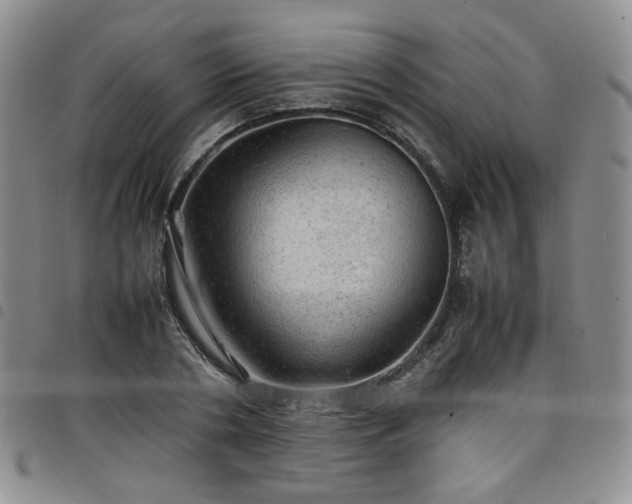 X0000098160786200804241803