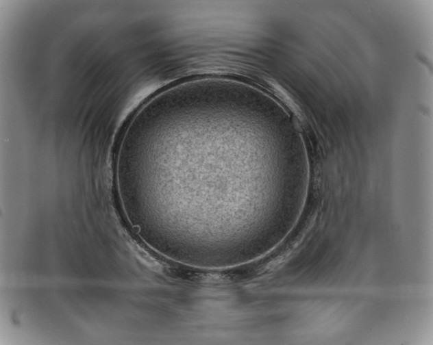 X0000098160787200804241803
