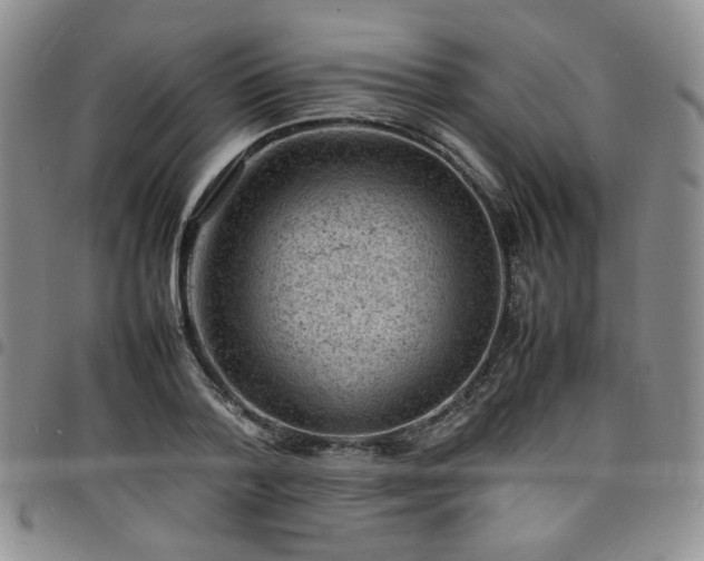 X0000098160788200804241803