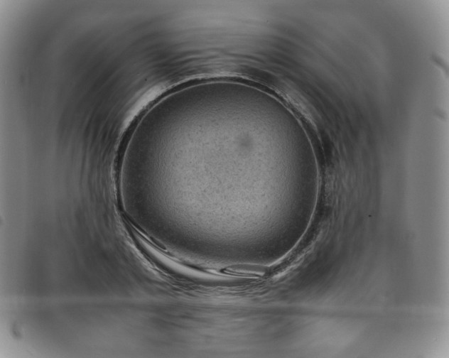 X0000098160789200804241803