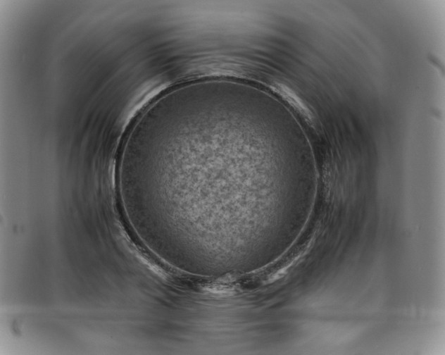 X0000098160790200804241802