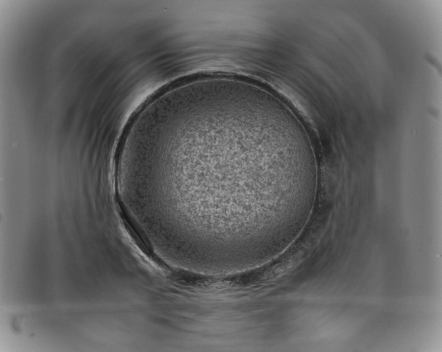 X0000098160791200804241802