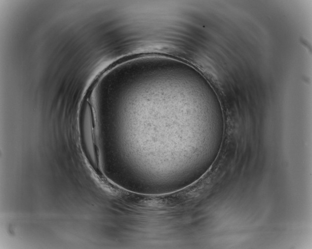 X0000098160792200804241802
