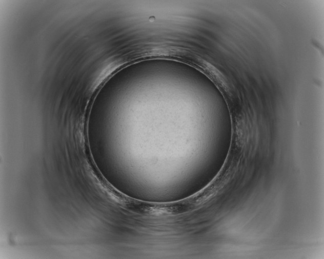 X0000098160794200804241802