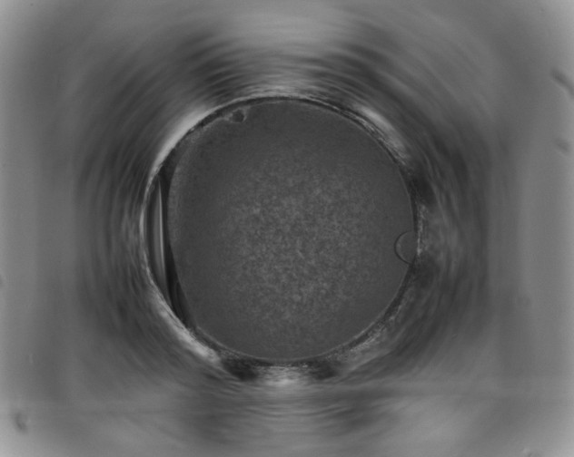 X0000098160796200804241802